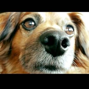 Meet your Posher, Briana